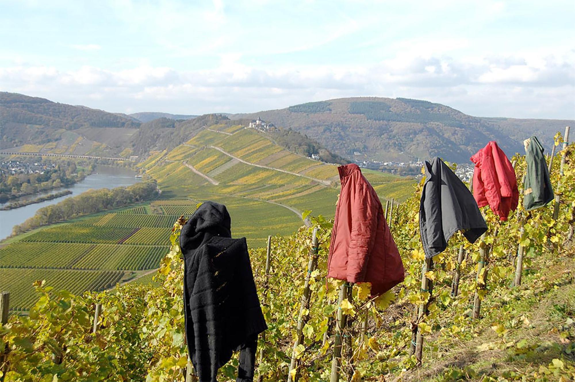 Weingut Rosenbaum Apartment Briedel Bagian luar foto