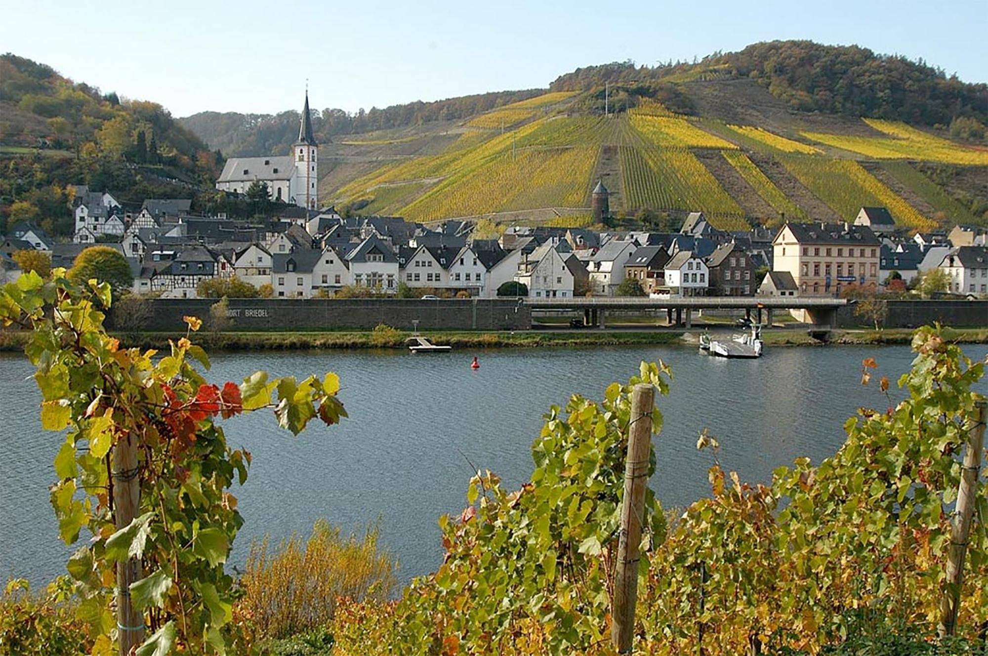 Weingut Rosenbaum Apartment Briedel Bagian luar foto