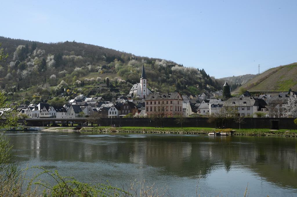 Weingut Rosenbaum Apartment Briedel Bagian luar foto