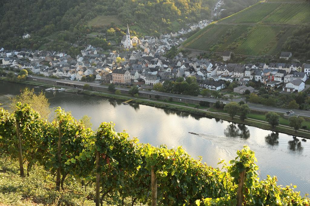 Weingut Rosenbaum Apartment Briedel Bagian luar foto