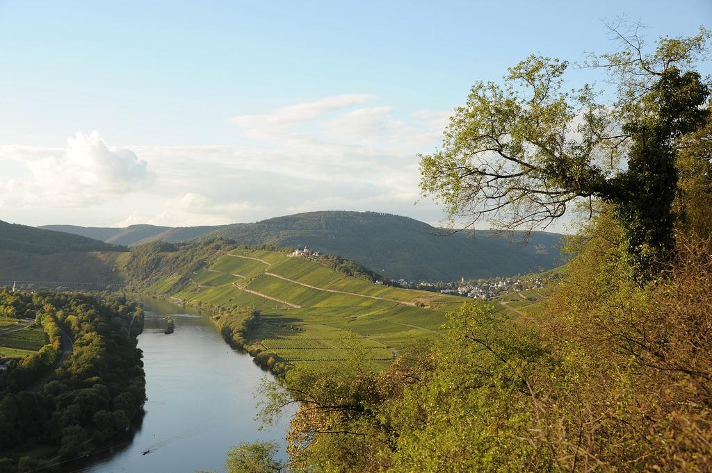 Weingut Rosenbaum Apartment Briedel Bagian luar foto