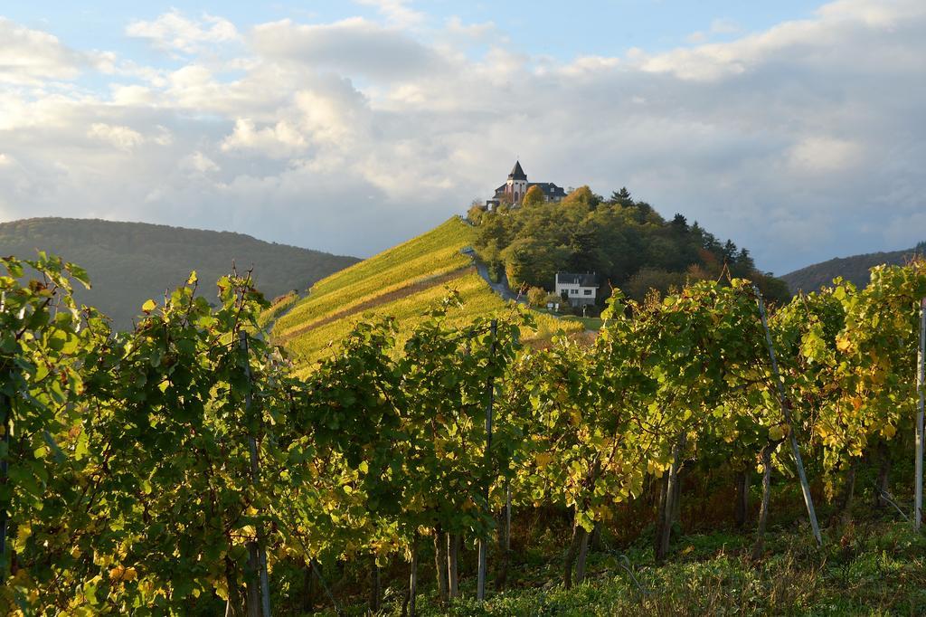 Weingut Rosenbaum Apartment Briedel Bagian luar foto